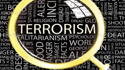 پاڵپشتی ڕۆژئاوا لە تیرۆریزم