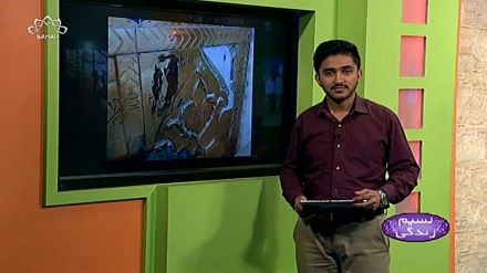 پروگرام نسیم زندگی کا معلوماتی حصہ