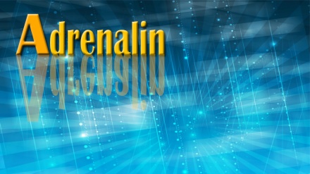 Adrenalin (05.dio)	