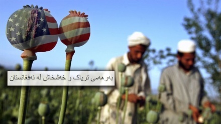 کونفرانسی نێودەوڵەوتیی بەربەرەکانێ لەگەڵ قاچاخ و تووشبوون بە ماددەی سڕکەر