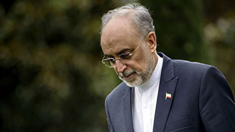 İran AET sədri Tehrana geri dönüb