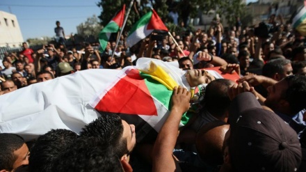 اسرائیلی جارحیت میں ایک فلسطینی شہید