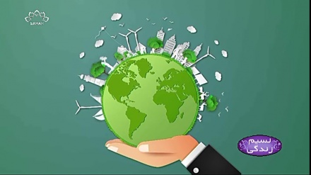 ماحولیات کی اہمیت