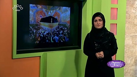 پروگرام نسیم زندگی کا معلوماتی حصہ