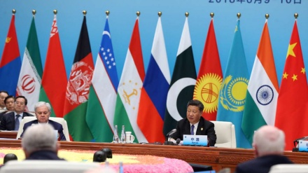 Qırğızıstan Şanxay əməkdaşlıq təşkilatının yeni sədri olub