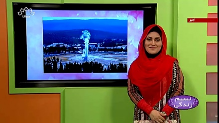 پروگرام نسیم زندگی کا معلوماتی حصہ