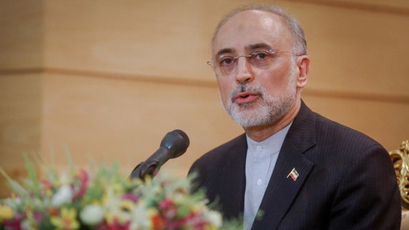ایران کو خارجہ پالیسی میں برتری حاصل ہے، صالحی