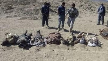 Əfqanıstanda yüzdən çox terrorçu məhv edilib