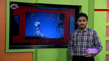 پروگرام نسیم زندگی کا معلوماتی حصہ