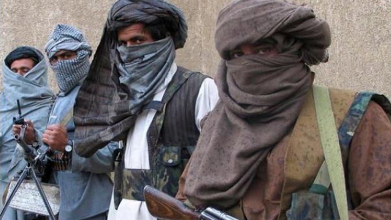 طالبان کے ہاتھوں سات افغان سیکورٹی اہلکار گرفتار 