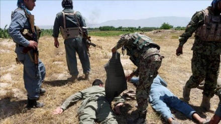 Əfqanıstanda onlarla terrorçu öldürülüb