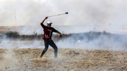 فلسطین: ارض وطن کے لئے جدوجہد جاری+ تصاویر