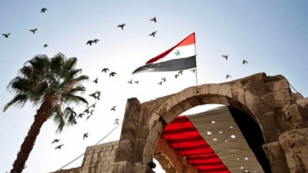 بین الاقوامی دہشتگردی سے برسرپیکار شامی فوج ۔ ویڈیو