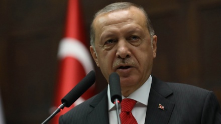Ərdoğan ticarət mübadilələrində milli puldan istifadəni vurğulayıb