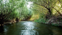 Selo Hanam, Lorestan
