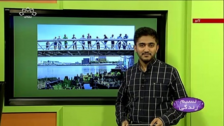 پروگرام نسیم زندگی کا معلوماتی حصہ