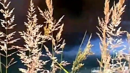 گۆرانیێک لە بەرنامەی ساباتی سۆز