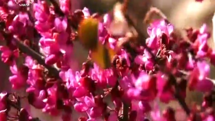 گۆرانیێکی خۆش پێشکەش بە هەموو هاورێیانی عەزیز
