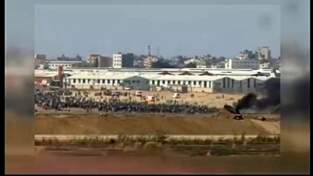 FƏLƏSTİN QARŞISINDA SUSAN ƏRƏB LİQASI NƏ ÜÇÜN YƏMƏNİ BOMBALAYIR?