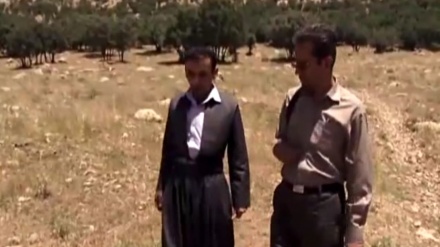 چاوخشاندەنێک سەر بەڵگەفیلمی مورواری زاگروس