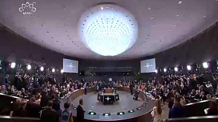 نیٹوکا ایران مخالف بیان
