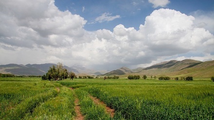 Selo Hanam, Lorestan