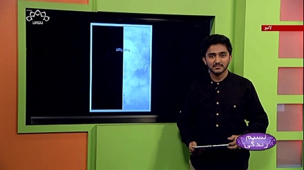 پروگرام نسیم زندگی کا معلوماتی حصہ