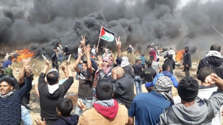 Hefteya 16`an a xwenîşandana Vegerê bû îniya bixwîn a Xezê