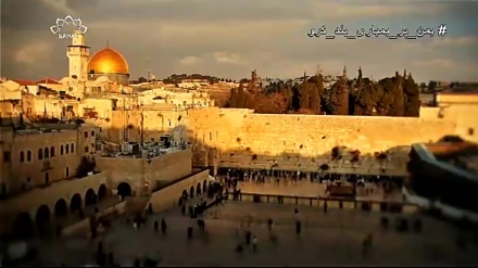 ڈاکومینٹری / قدس شاعر