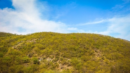  ئەرەسباران - 23-07-2019