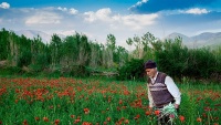 Selo Hanam, Lorestan
