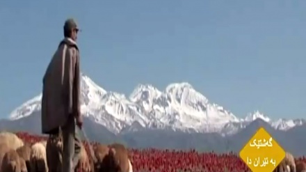 گەشتێک بە ئێران دا- ئەردەبیل-سەرعەین