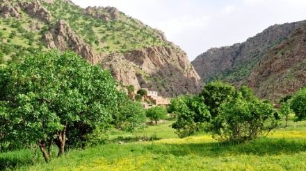 ژیان له شاهۆ