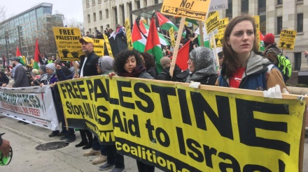 امریکہ کے مختلف شہروں میں فلسطینیوں کی حمایت میں مظاہرے