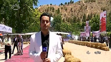 خوبصورت گھوڑوں کا قومی فیسٹیول