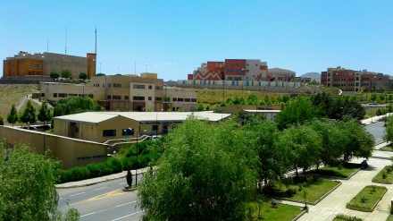 خرانەگەڕی چەن گەڵاڵە لە کوردستان