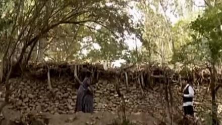 بەڵگە فیلمی دەستکردەکان