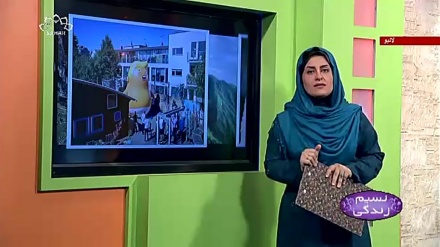 پروگرام نسیم زندگی کا معلوماتی حصہ