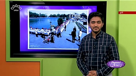 پروگرام نسیم زندگی کا معلوماتی حصہ