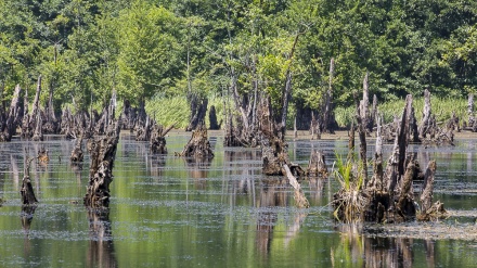 Jezero duhova