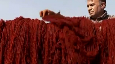 بەشێک لە بەڵگه فیلمی دەستکردەکان