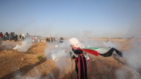 Palestinske žene na demonstracijama Povratka