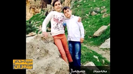ئەلبۆمی وێنەی بینــەران