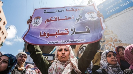Qəzzədəki UNRWA işçiləri əmək müqavilələrinin dayandırılmasına etiraz ediblər