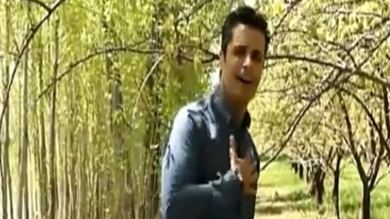 گۆرانی بە دەنگی زانا عەبدۆڵڵاهی