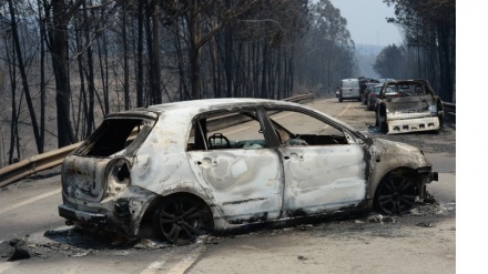 U Portugalu 43 stepena, 740 vatrogasaca gasi šumski požar na jugu zemlje