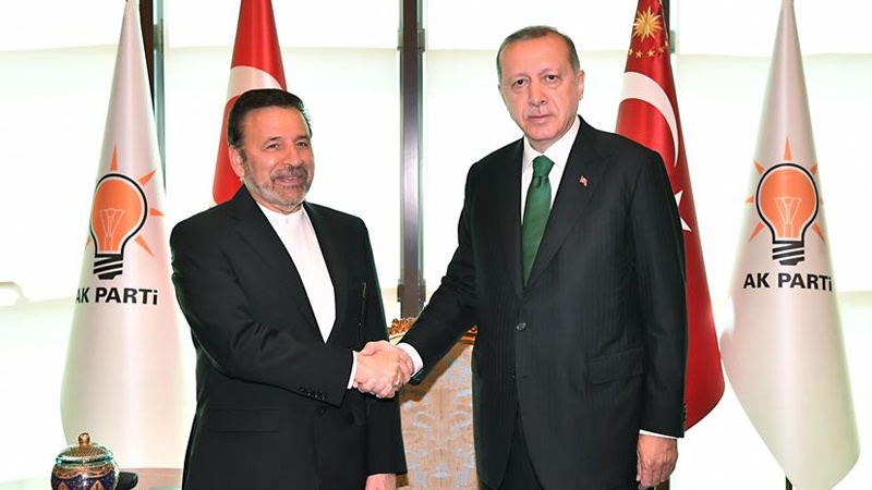  ایران کے صدر کے خصوصی ایلچی کی ترکی کے صدر سے ملاقات