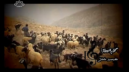 گۆرانیێکی خۆش بە دەنگی محەممەد ماملێ له بەرنامەی سەحەروبینەران