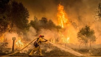 Borba vatrogasaca s vatrenom stihijom u šumama Kalifornije
