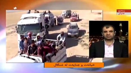 خیانەت و جنایەت له شنگاڵ